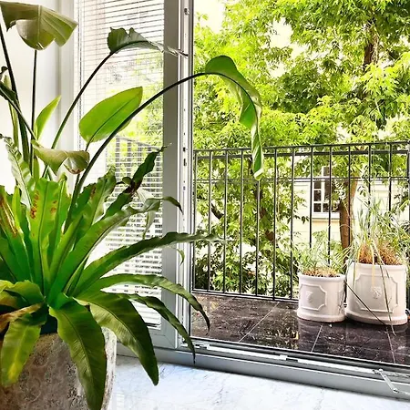 Design+luxus Im Zentrum! +netflix